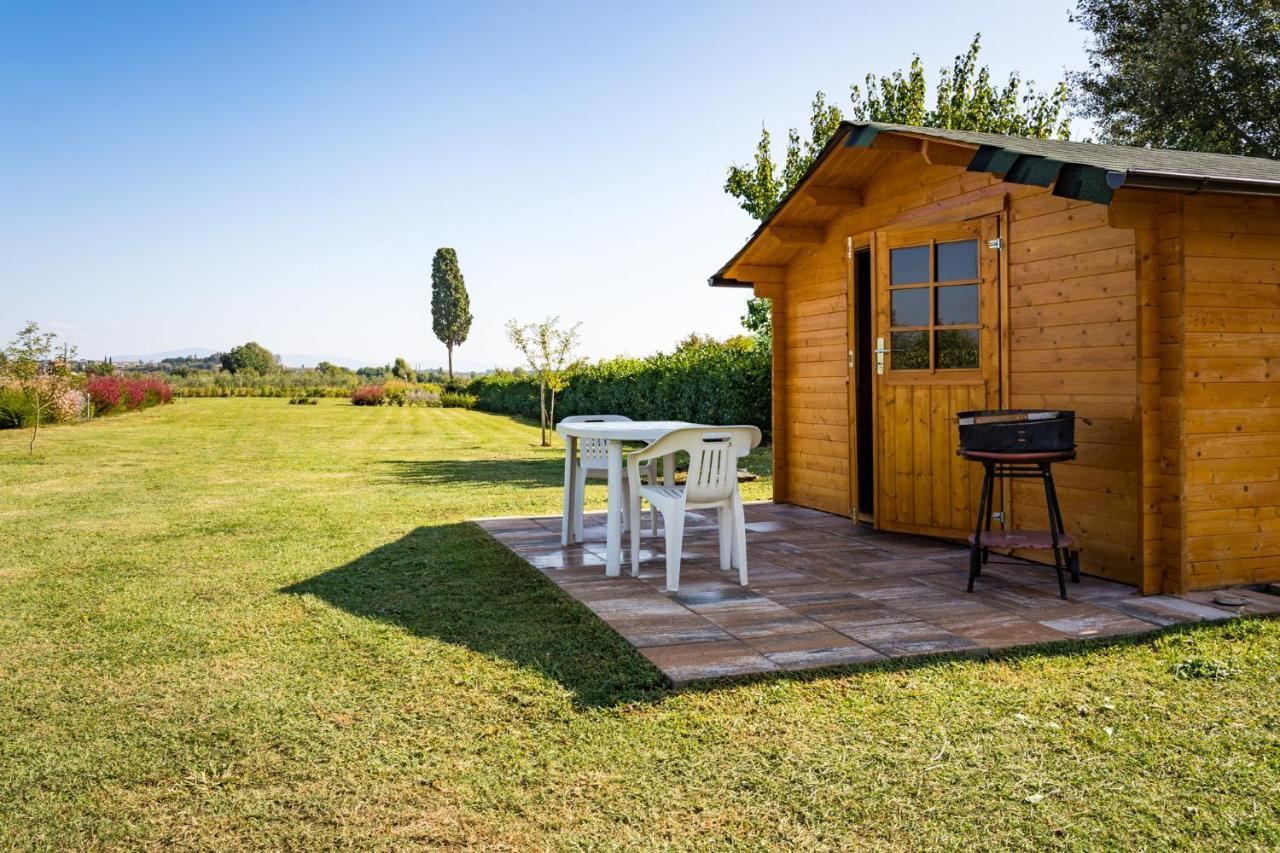 Bed and Breakfast Borgo Terrosi Sinalunga Zewnętrze zdjęcie