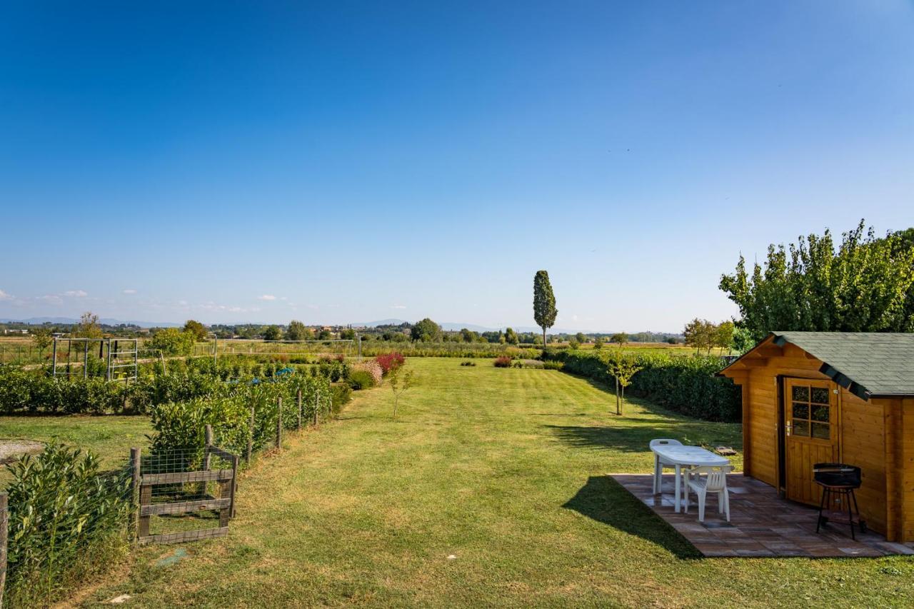 Bed and Breakfast Borgo Terrosi Sinalunga Zewnętrze zdjęcie